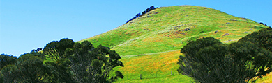 Image of a hill