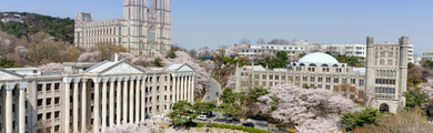 Image of Korea University 
