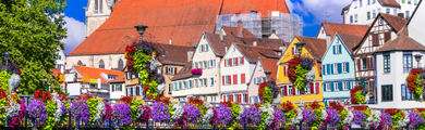 Image of buildings and flowers in Germany 
