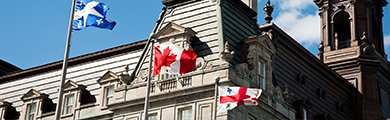 Image of Canadian flags